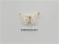 藏品(螟蛾304)的圖片